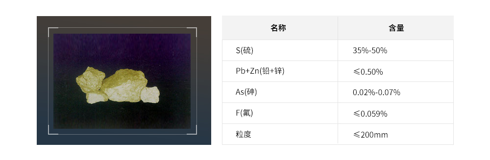 首页- F66永乐国际集团官方网站