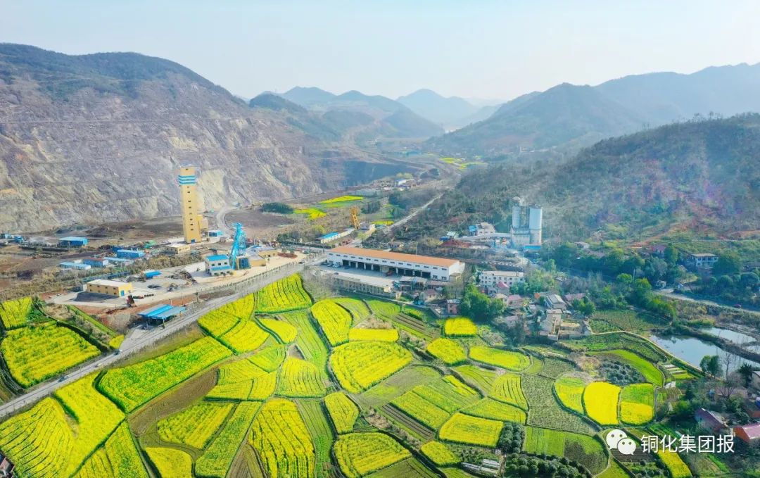 首页- F66永乐国际集团官方网站