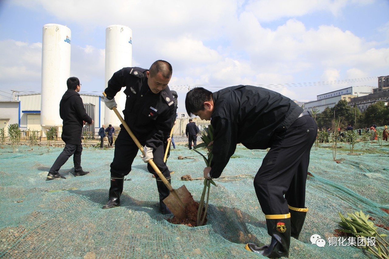 首页- F66永乐国际集团官方网站