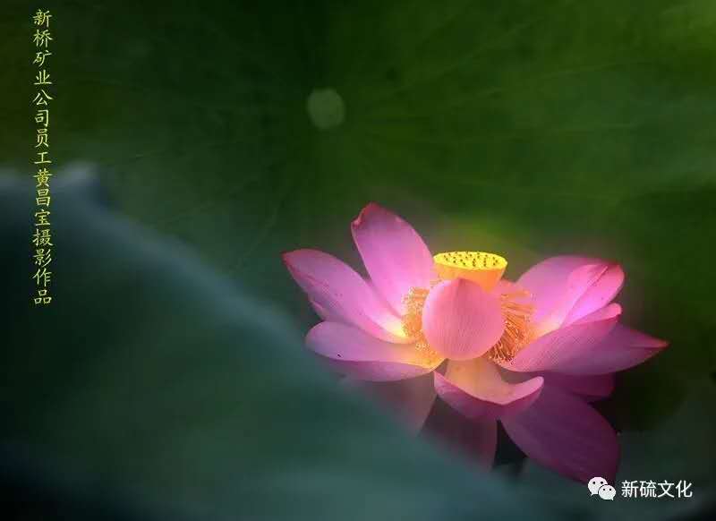 首页- F66永乐国际集团官方网站