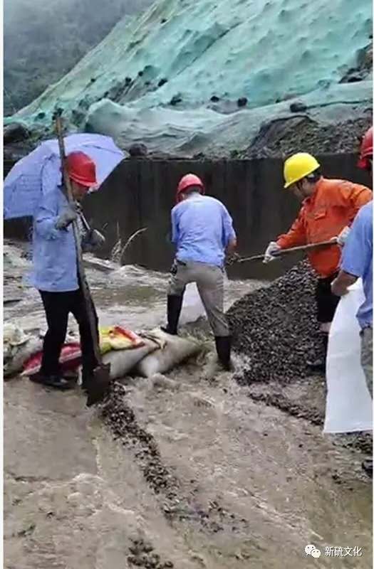 首页- F66永乐国际集团官方网站