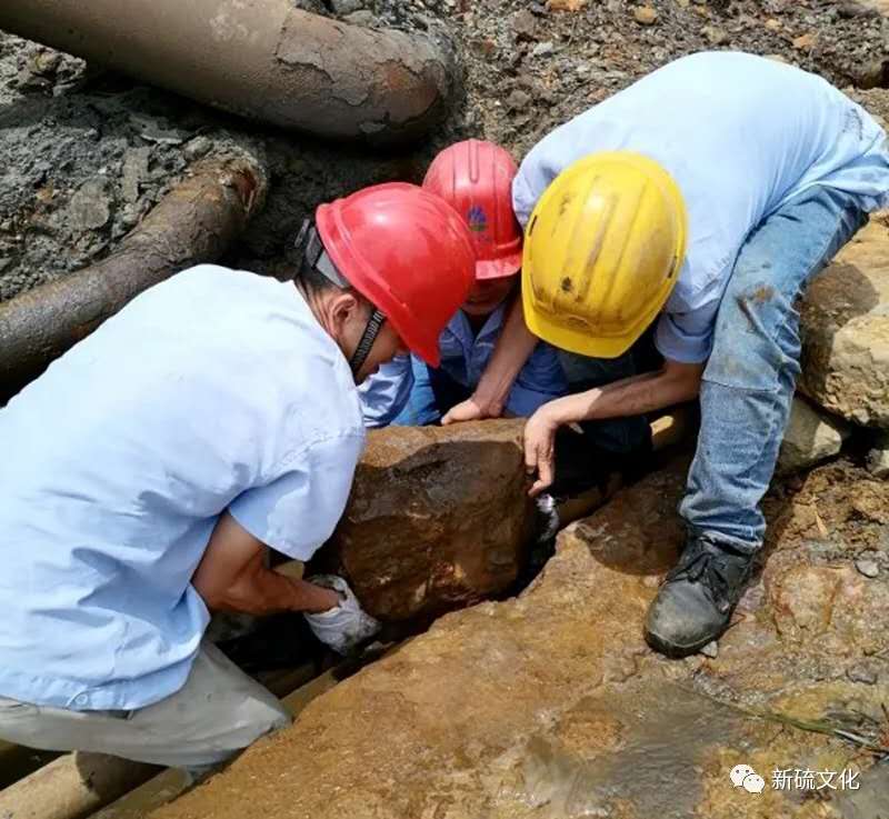 首页- F66永乐国际集团官方网站