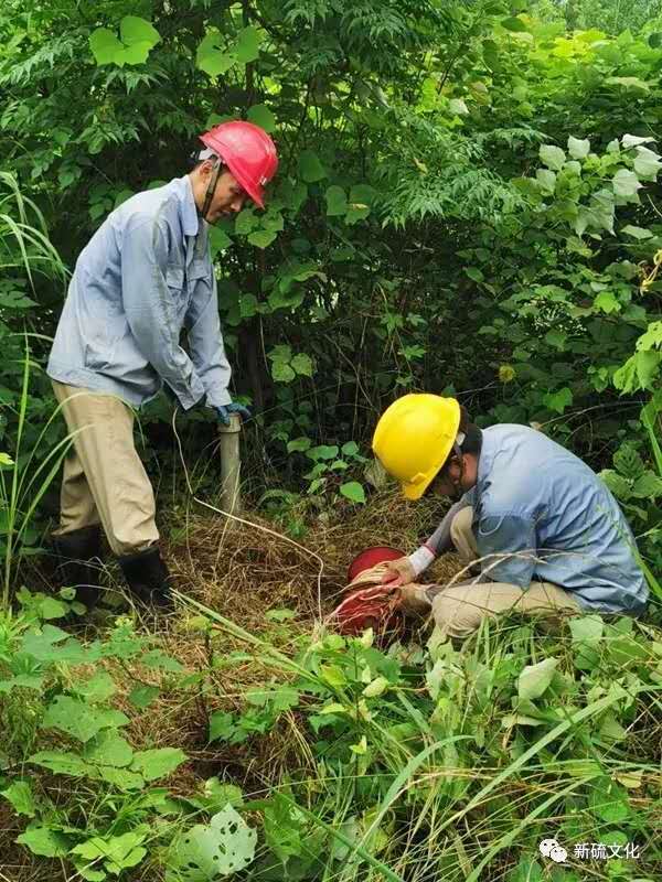 首页- F66永乐国际集团官方网站