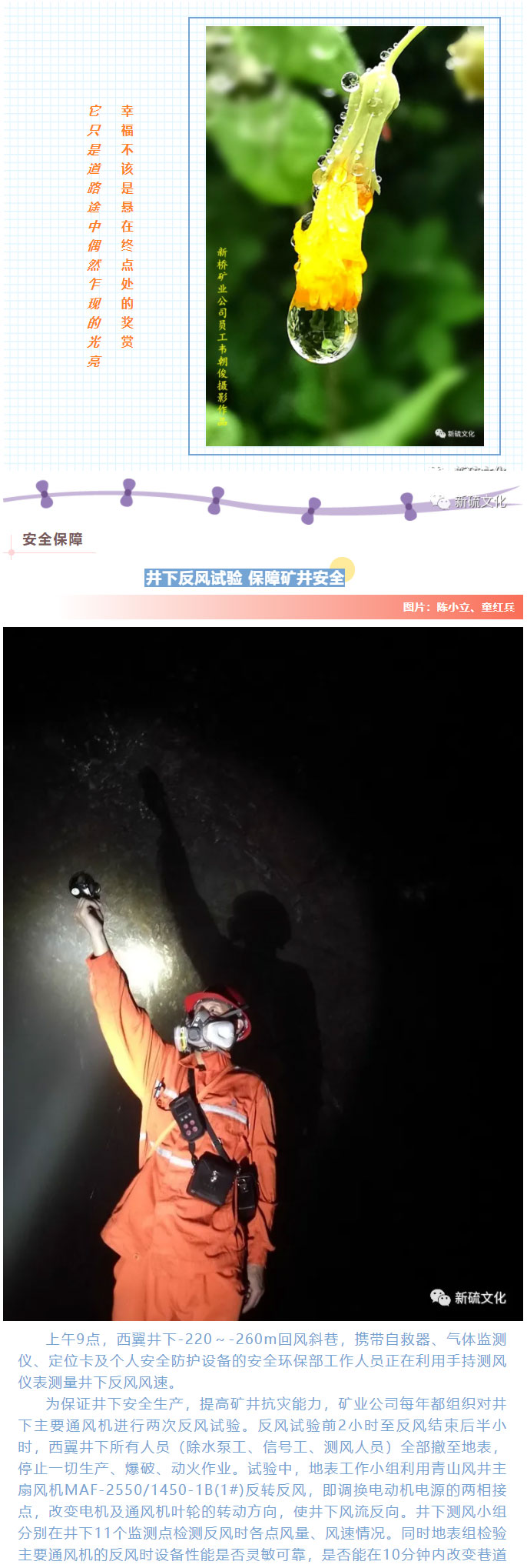 首页- F66永乐国际集团官方网站